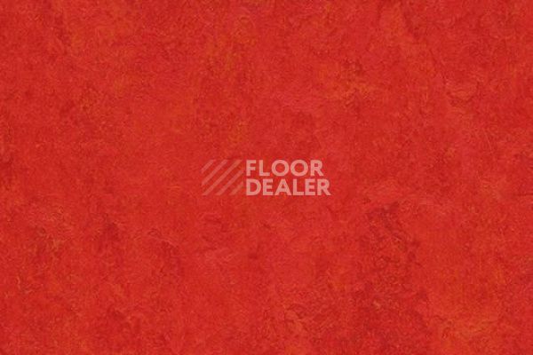 Линолеум Marmoleum Decibel on Order 313135 scarlet фото 1 | FLOORDEALER